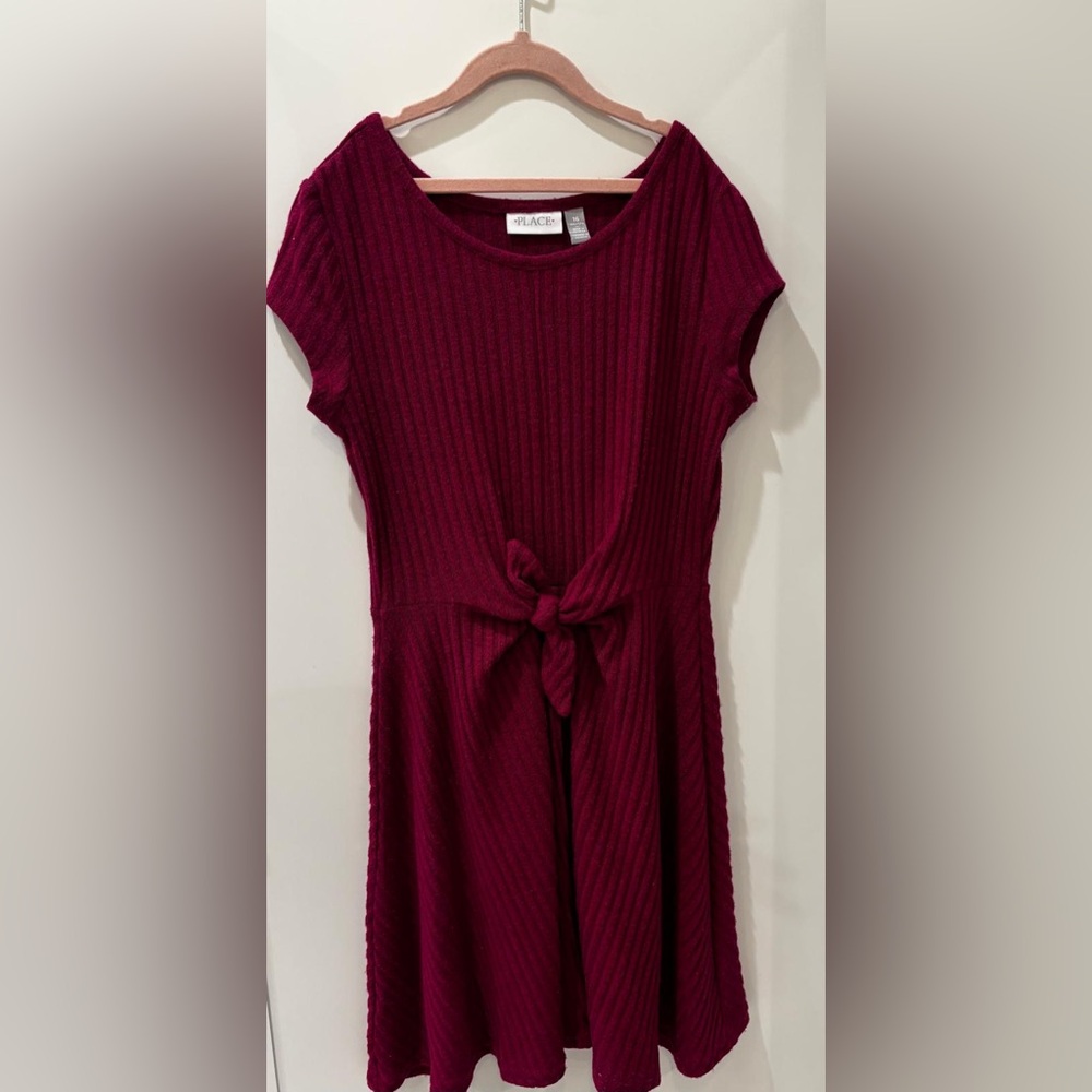 The Children's Place Burgundy Ribbed Dress